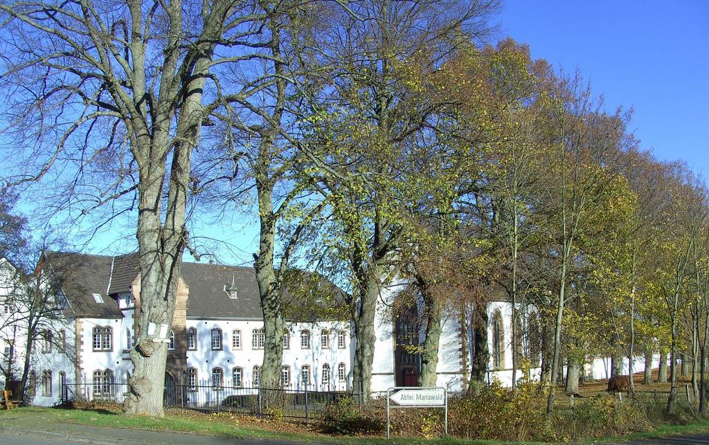 Hotel Restaurant Schmidter Bauernstube Nideggen Extérieur photo